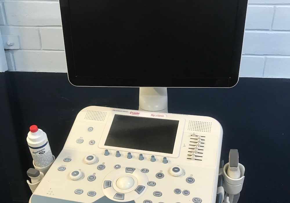 Ultrasound, Morphettville Equine Clinic (Hills Clinic), South Australia