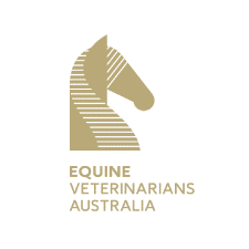 Equine Veterinary Australia